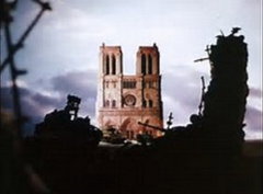 La tendresse du maudit (1980)