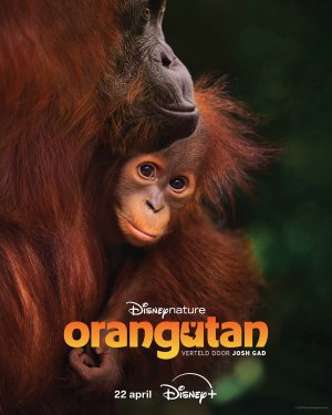 Orangutan (2026)