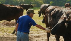 Retour à Fukushima (2026)