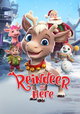 Reindeer in Here