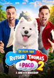 De Film van Rutger, Thomas en Paco 2