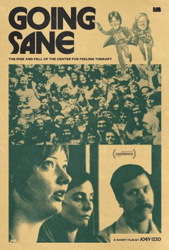Going Sane: The Rise and Fall of the Center for Feeling Therapy (2026)