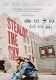 Stealing the Sky