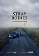 Stray Bodies