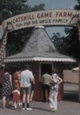 American Zoo