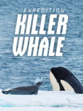 Expedition Killer Whale (2024)