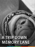 A Trip Down Memory Lane (1965)