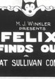 Felix Finds Out
