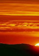 Blood Meridian