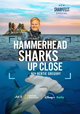 Hammerhead Sharks Up Close with Bertie Gregory