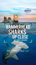 Hammerhead Sharks Up Close with Bertie Gregory (2026)
