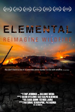 Elemental: Reimagine Wildfire (2023)