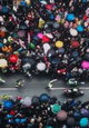 Street of Resistance