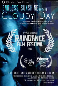 Endless Sunshine on a Cloudy Day (2020)