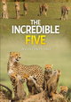 The Incredible Five: A Cheetah's Tale