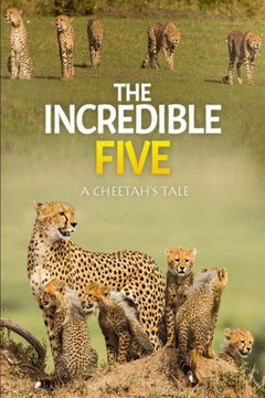 The Incredible Five: A Cheetah's Tale (2020)