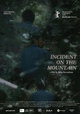 Incident on the Mountain
