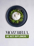 Mozzarella, une vaste bufflonnerie (2023)