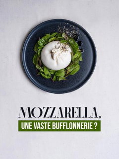 Mozzarella, une vaste bufflonnerie (2023)