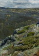 Wilderness