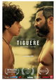 Tiguere