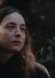 Forêt ivre