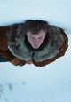 A Long Winter