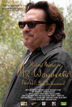 Mr. Wonderful (2026)
