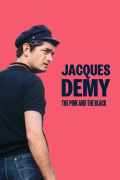 Jacques Demy, le rose et le noir (2024)