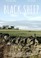 Black Sheep