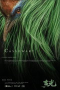 Cassowary (2026)