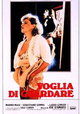 Voglia di guardare