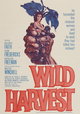 Wild Harvest