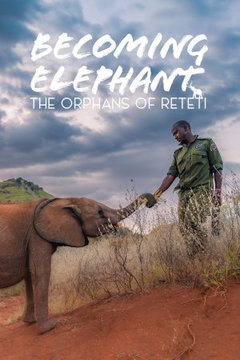 Becoming Elephant: The Orphans of Reteti - Baby Steps