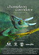 Chameleon Corridors