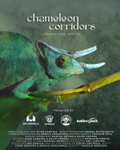 Chameleon Corridors (2024)