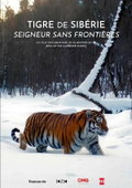 Tigre de Sibérie, seigneur sans frontières (2023)