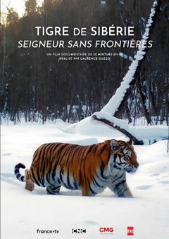 Tigre de Sibérie, seigneur sans frontières (2023)