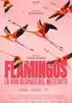 FLAMINGOS Life after the meteorite