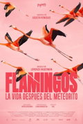FLAMINGOS Life after the meteorite (2025)