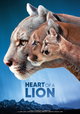 The Heart of a Lion