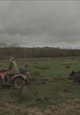 Derek's Ark