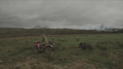 Derek's Ark