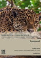 Pantanal