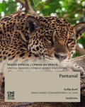 Pantanal (2025)