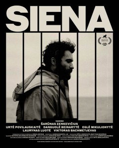 Siena (2025)