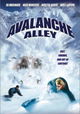 Avalanche Alley