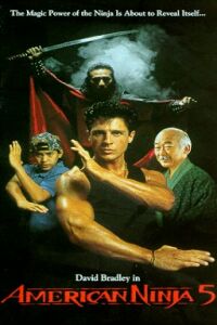 American Ninja V