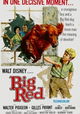 Big Red