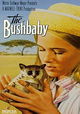 The Bushbaby